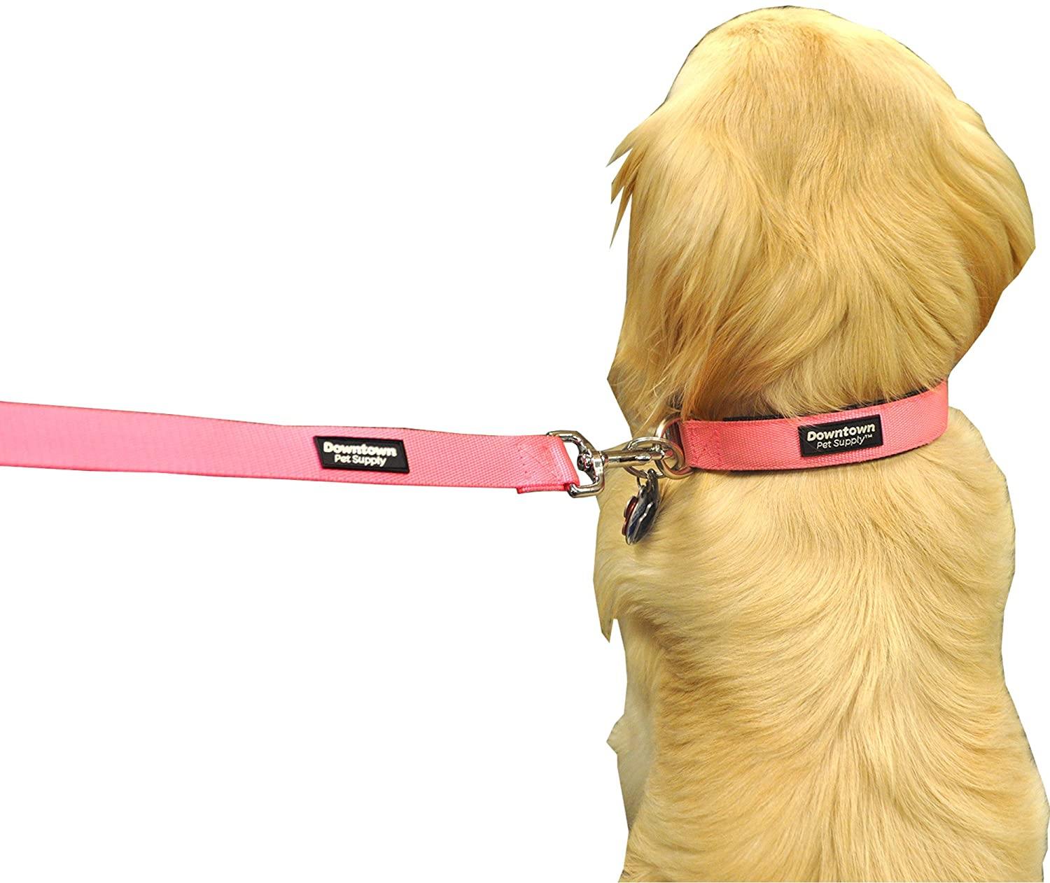 Downtown Pet Supply Deluxe Adjustable Thick Dog Collar, (Purple, XLarge)