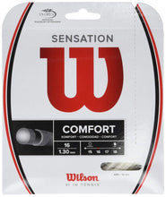 
                        
                          Load image into Gallery viewer, Wilson Sensation 40-Feet Set - JOY2ESpree
                        
                      