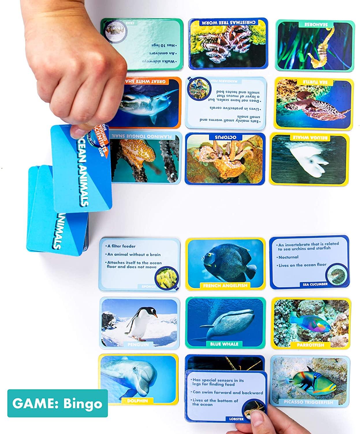 The Young Scientists Club Animal Tracks Game By Horizon Group USA - JOY2ESpree