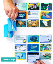 
                        
                          Muat gambar ke penampil Galeri, The Young Scientists Club Animal Tracks Game By Horizon Group USA - JOY2ESpree
                        
                      