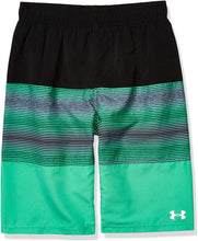 
                        
                          Cargar imagen en el visor de la galería, Under Armour Boys' Swim Trunks
                        
                      