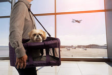 
                        
                          Cargar imagen en el visor de la galería, Sherpa Original Deluxe Airline Approved Pet Carrier, Medium, Black
                        
                      