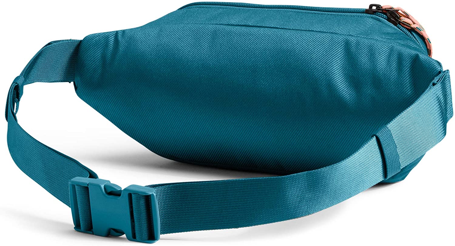 The North Face Lumbar Pack