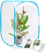 
                        
                          Muat gambar ke penampil Galeri, RESTCLOUD Insect and Butterfly Habitat Cage Terrarium Pop-up 23.6 Inches Tall - JOY2ESpree
                        
                      