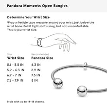 
                        
                          Cargar imagen en el visor de la galería, Pandora Jewelry Snake Chain Style Open Bangle Sterling Silver Bracelet - JOY2ESpree
                        
                      