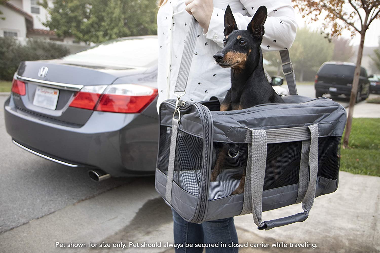 Sherpa Original Deluxe Airline Approved Pet Carrier, Medium, Black