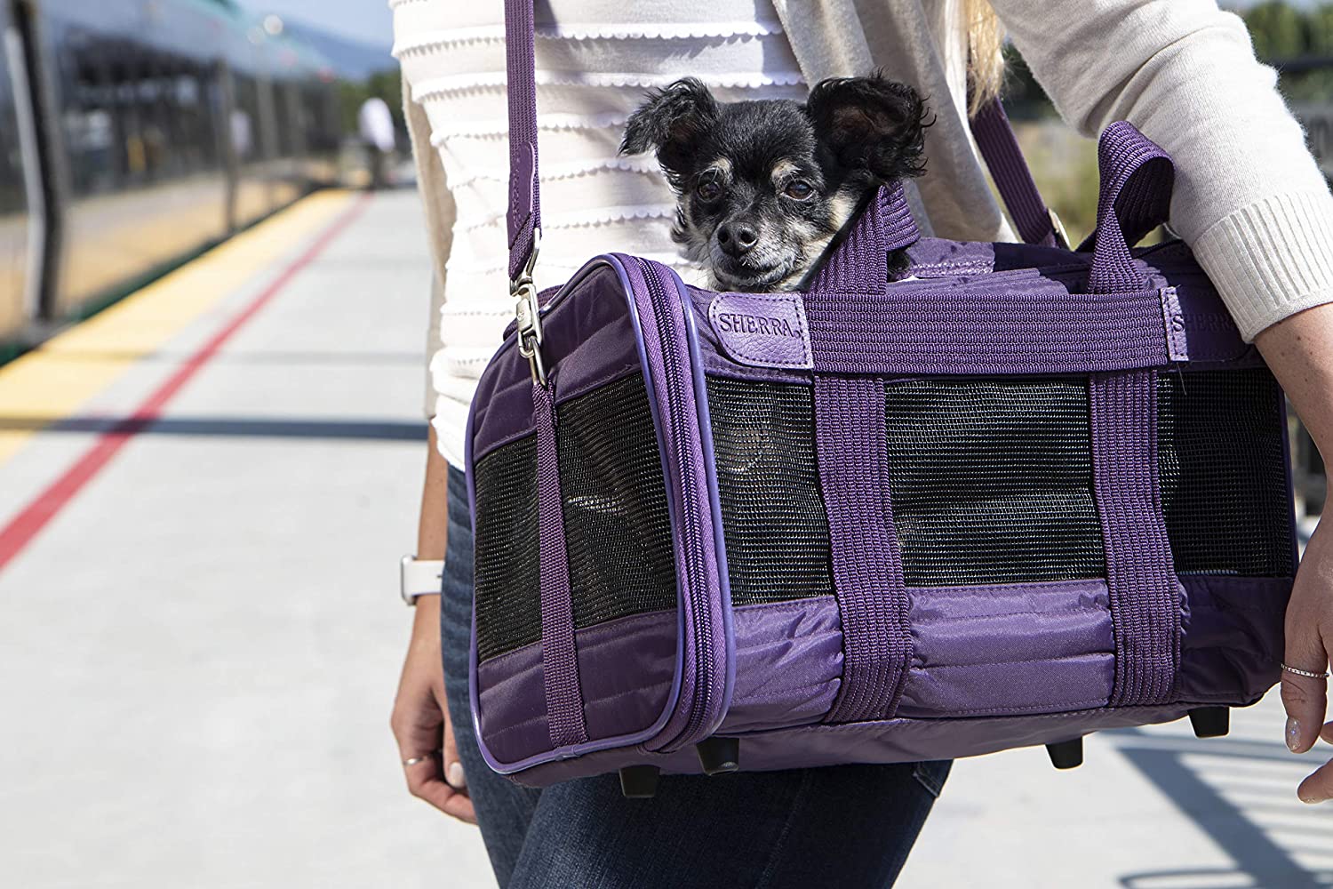 Sherpa Original Deluxe Airline Approved Pet Carrier, Medium, Black