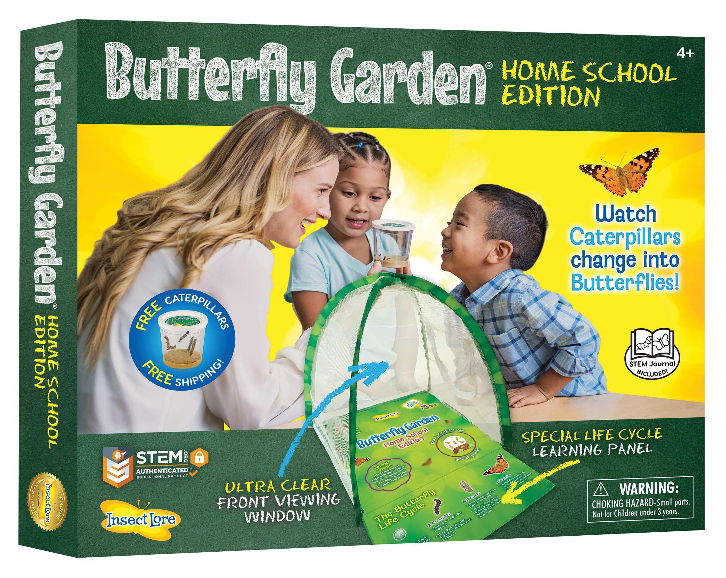 Insect Lore Butterfly Garden Home School Edition - JOY2ESpree