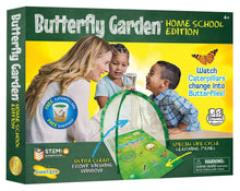
                        
                          गैलरी व्यूवर में इमेज लोड करें, Insect Lore Butterfly Garden Home School Edition - JOY2ESpree
                        
                      