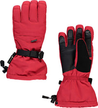 
                        
                          將圖片載入圖庫檢視器 Spyder Active Sports Women's Synthesis Gore-TEX Ski Glove
                        
                      