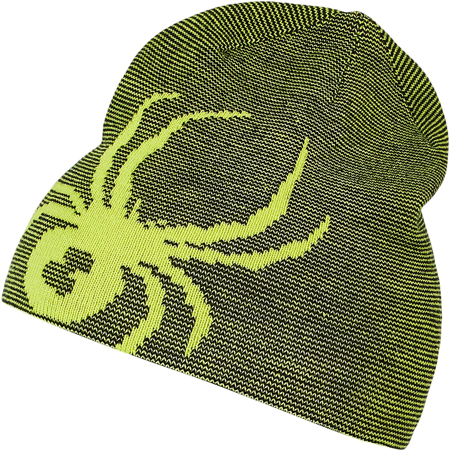 Spyder Men's Reversible Innsbruck Hat