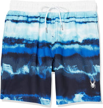 
                        
                          Load image into Gallery viewer, Spyder Men's 7" Tie-dye Volley Swim Trunks
                        
                      