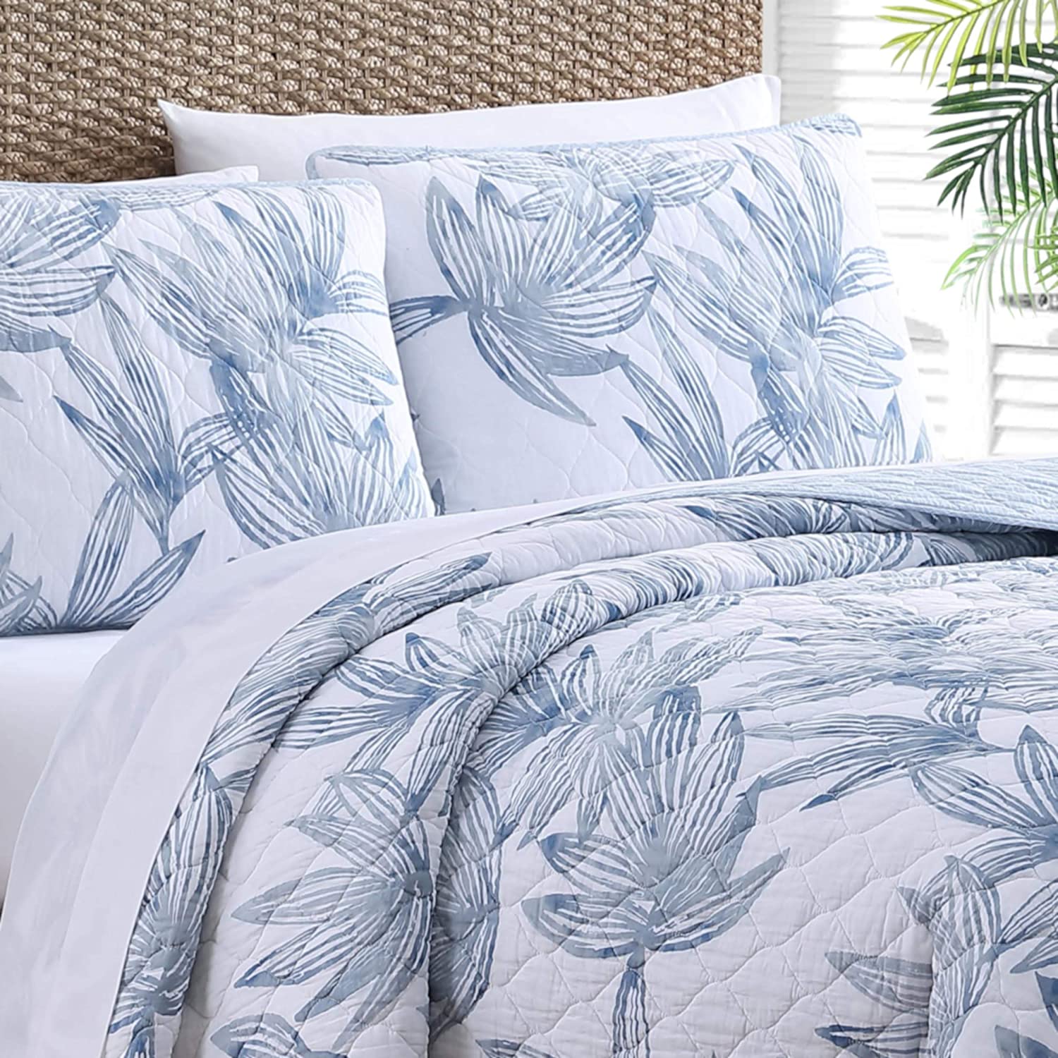 Tommy Bahama | Kayo Collection | Quilt Set - 100% Cotton - Cozy