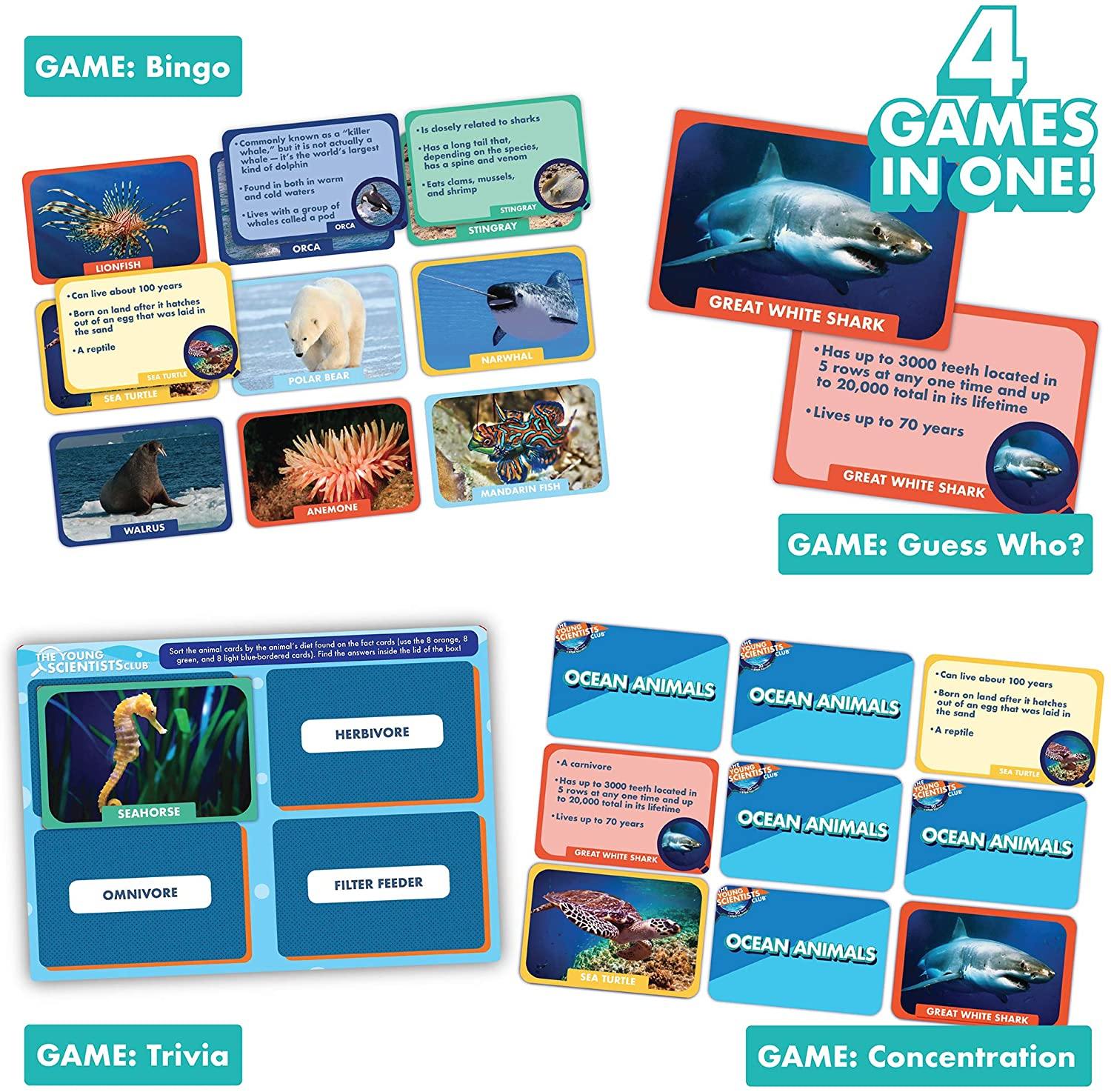 The Young Scientists Club Animal Tracks Game By Horizon Group USA - JOY2ESpree