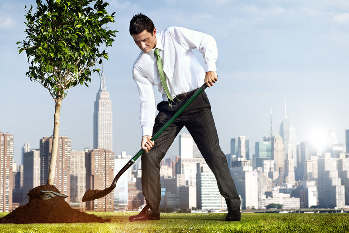Breaking Ground