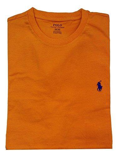 Polo Ralph Lauren Mens Short Sleeve T-Shirt Hampton Purple