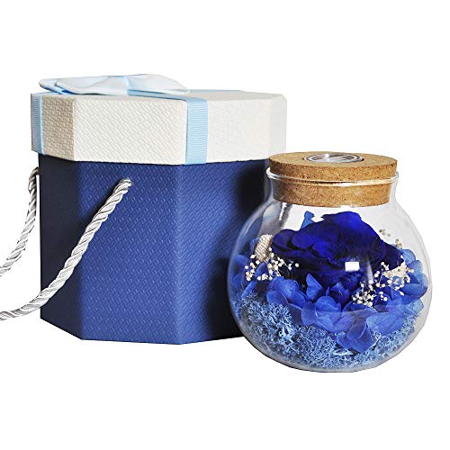 Forever Red Rose, Preserved Eternal Real Flower Present Gorgeous Led Mood Light