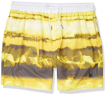 
                        
                          Load image into Gallery viewer, Spyder Men's 7" Tie-dye Volley Swim Trunks
                        
                      