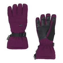 
                        
                          將圖片載入圖庫檢視器 Spyder Active Sports Women's Synthesis Gore-TEX Ski Glove
                        
                      