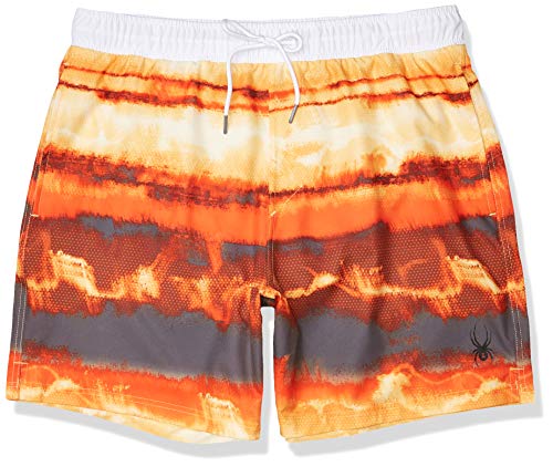Spyder Men's 7" Tie-dye Volley Swim Trunks