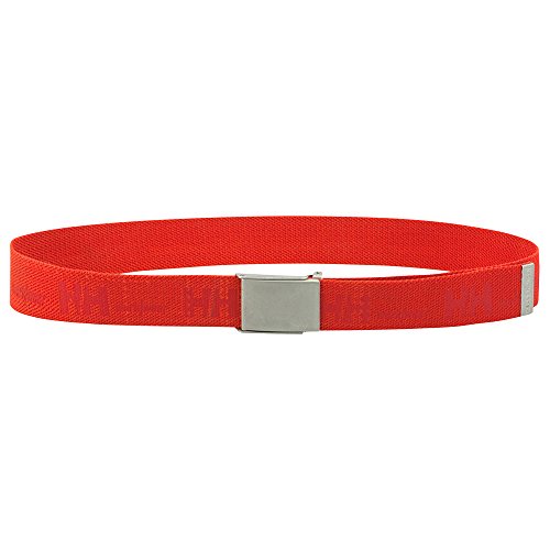 Helly Hansen Men's Workwear HH Logo Webbing Belt