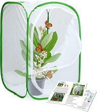
                        
                          Muat gambar ke penampil Galeri, RESTCLOUD Insect and Butterfly Habitat Cage Terrarium Pop-up 23.6 Inches Tall - JOY2ESpree
                        
                      