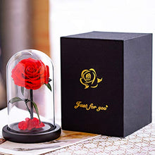 
                        
                          Cargar imagen en el visor de la galería, Eternal Rose- Preserved Flower Rose Handmade Fresh Flower Rose
                        
                      