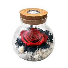 
                        
                          將圖片載入圖庫檢視器 Forever Red Rose, Preserved Eternal Real Flower Present Gorgeous Led Mood Light
                        
                      