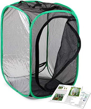 
                        
                          Muat gambar ke penampil Galeri, RESTCLOUD Insect and Butterfly Habitat Cage Terrarium Pop-up 23.6 Inches Tall - JOY2ESpree
                        
                      