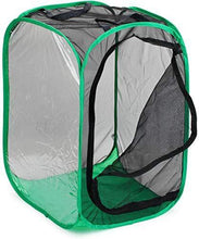 
                        
                          गैलरी व्यूवर में इमेज लोड करें, RESTCLOUD 36" Large Monarch Butterfly Habitat, Giant Collapsible Insect Mesh Cage Terrarium Pop-up 24 x 24 x 36 Inches - JOY2ESpree
                        
                      