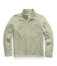 
                        
                          गैलरी व्यूवर में इमेज लोड करें, The North Face Men's Gordon Lyons Quarter Zip Pullover
                        
                      