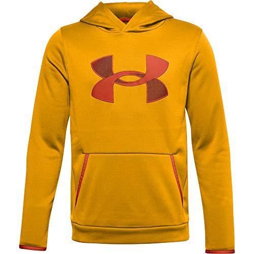 Under Armour Boys Fleece Hoodie