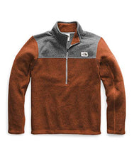 
                        
                          गैलरी व्यूवर में इमेज लोड करें, The North Face Men's Gordon Lyons Quarter Zip Pullover
                        
                      