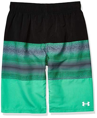 Under Armour Boys' Volley Fashion Swim Trunk - JOY2ESpree
