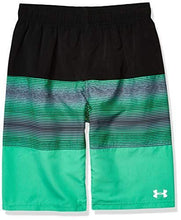 
                        
                          Muat gambar ke penampil Galeri, Under Armour Boys' Volley Fashion Swim Trunk - JOY2ESpree
                        
                      