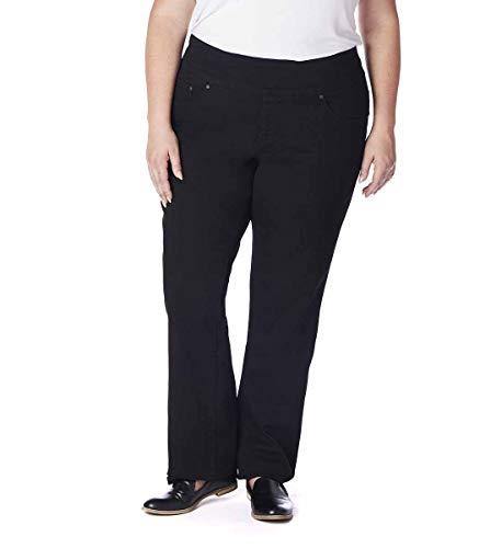 Jag Jeans Women's Plus-Size Peri Pull on Straight Leg Jean
