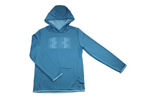 Under Armour Boys' Fleece Branded Hoodie