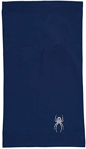 Spyder Active Sports Men's Cruise Tube Neck Gaiter