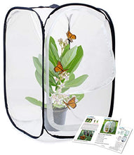
                        
                          Muat gambar ke penampil Galeri, RESTCLOUD Insect and Butterfly Habitat Cage Terrarium Pop-up 23.6 Inches Tall - JOY2ESpree
                        
                      