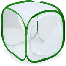 
                        
                          Muat gambar ke penampil Galeri, RESTCLOUD Insect and Butterfly Habitat Cage Terrarium Pop-up 23.6 Inches Tall - JOY2ESpree
                        
                      