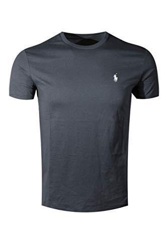 Polo Ralph Lauren Mens Short Sleeve T-Shirt Hampton Purple