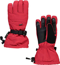 
                        
                          將圖片載入圖庫檢視器 Spyder Active Sports Women's Synthesis Gore-TEX Ski Glove
                        
                      
