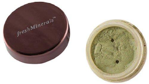 freshMinerals Mineral Loose Eyeshadow, New York City, 1.5 Gram