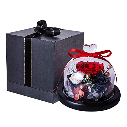 Eternal Rose- Preserved Flower Rose Handmade Fresh Flower Rose